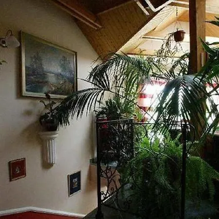 Studio Typha * Bük